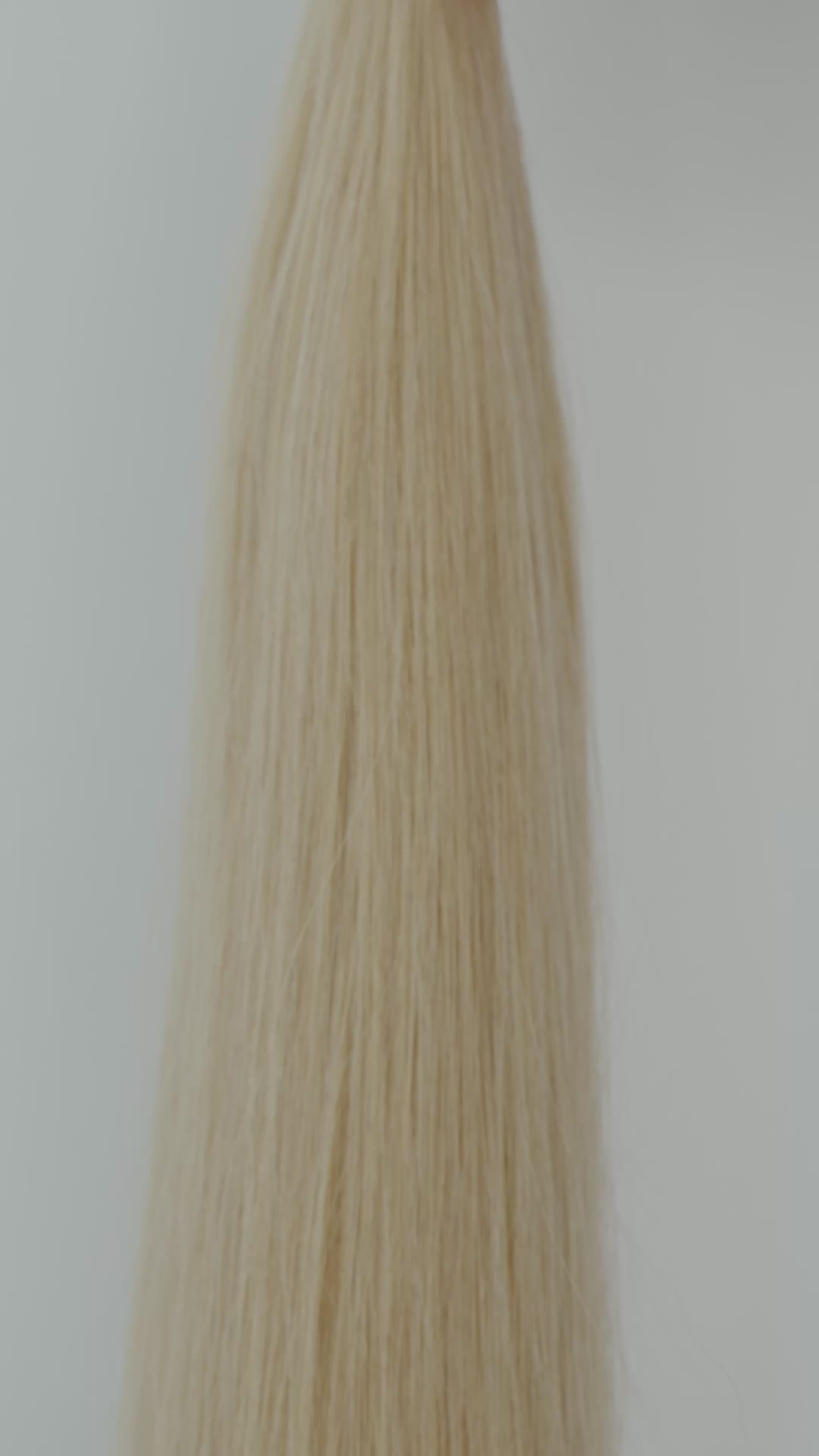 101 hellblond beige-asch, 101 light beige ash blonde, 101 blond clair beige cendré